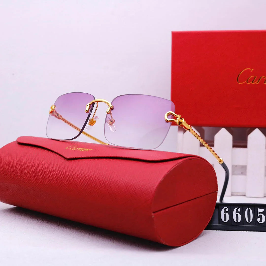 Fashion Sunglasses—6605