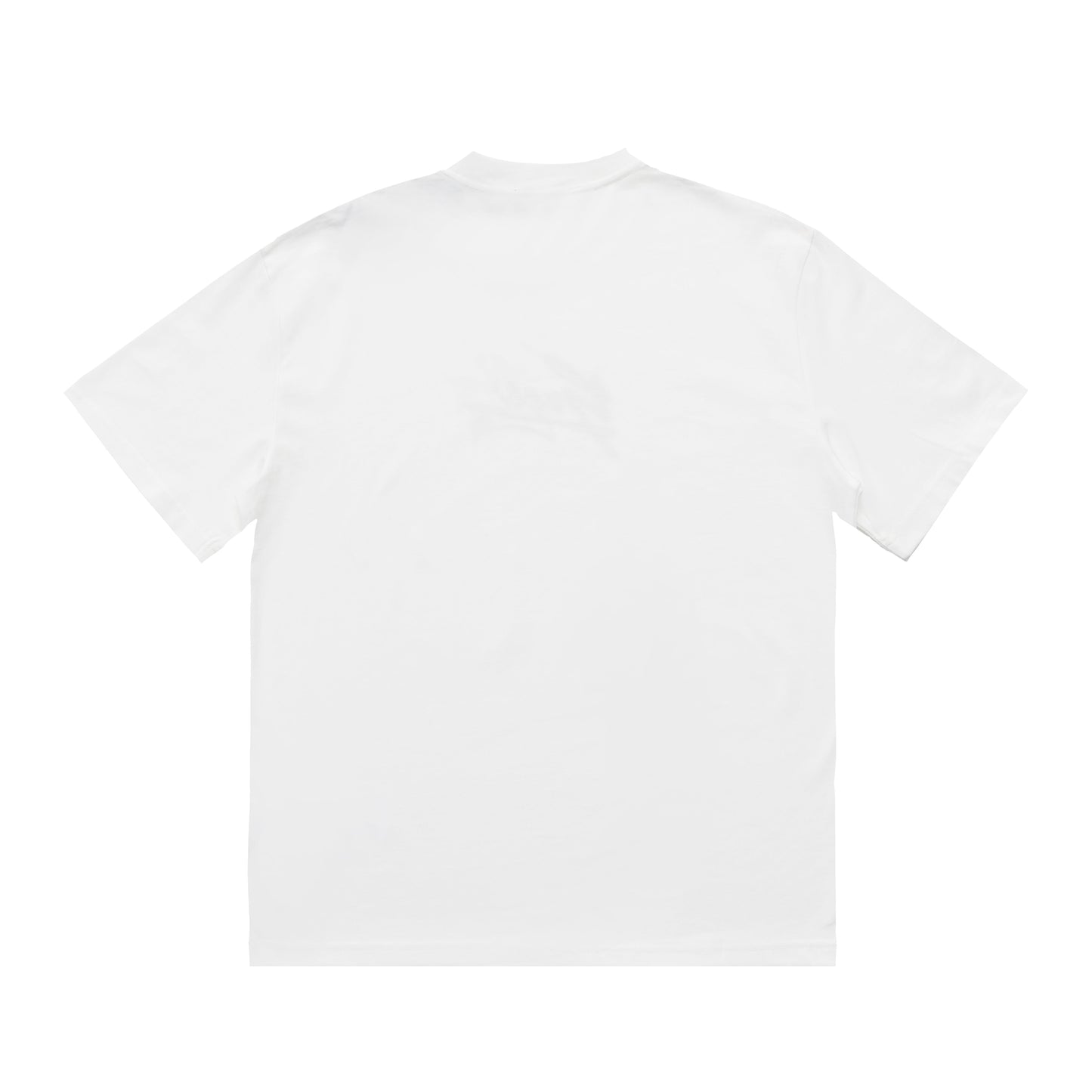 Printed T-Shirt: High-End Fashion Statement-1017