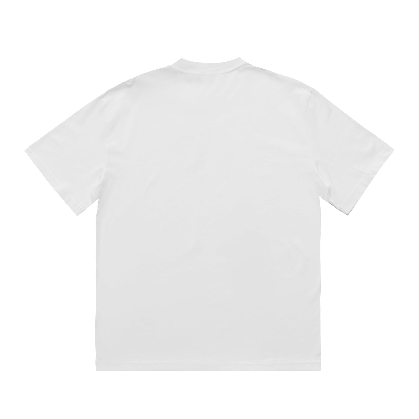 Printed T-Shirt: High-End Fashion Statement-1022