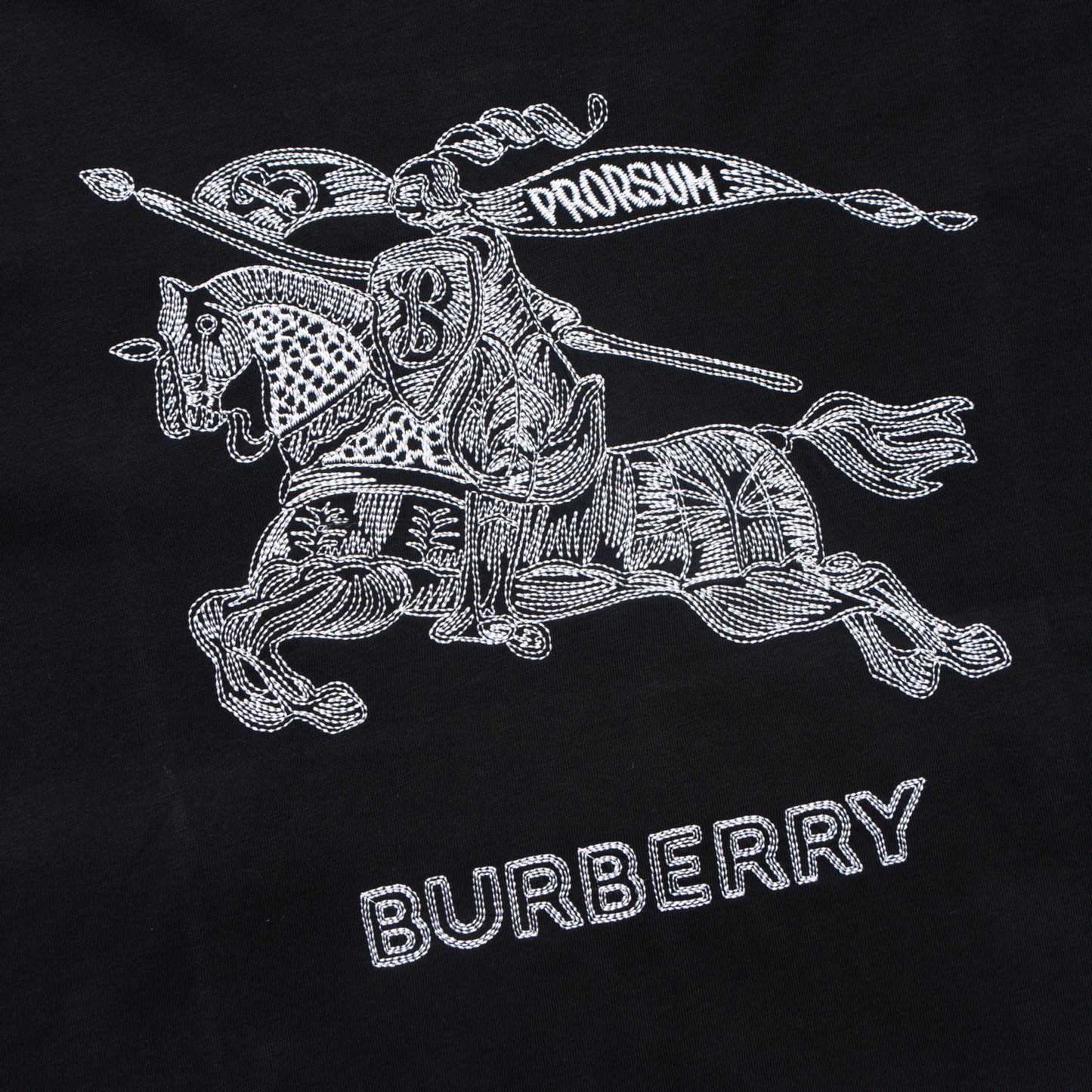 Printed T-Shirt: High-End Fashion Statement-1187