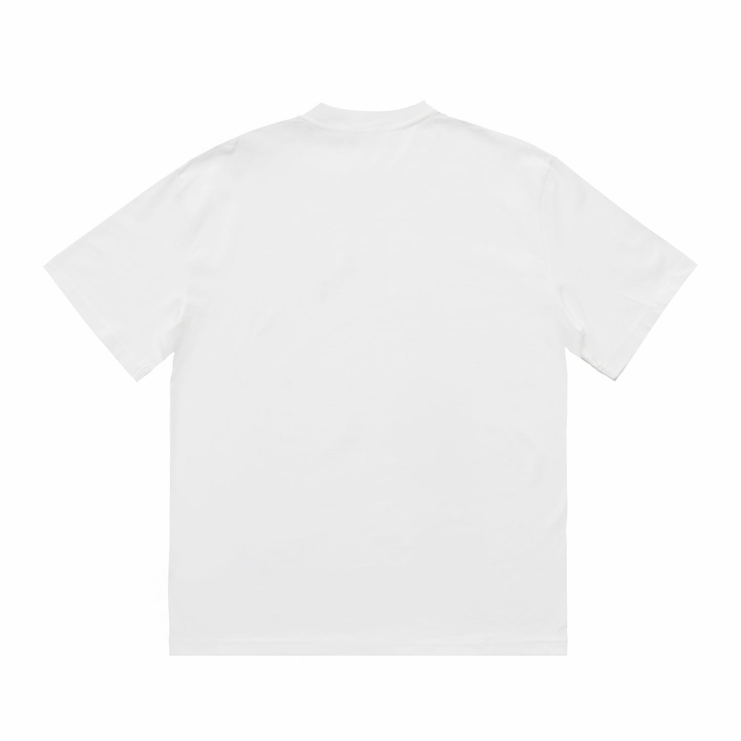 Printed T-Shirt: High-End Fashion Statement-1019